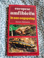 Europese Amfibieën in een Oogopslag, Ophalen of Verzenden, Gelezen, Natuur algemeen, Donato Ballasina