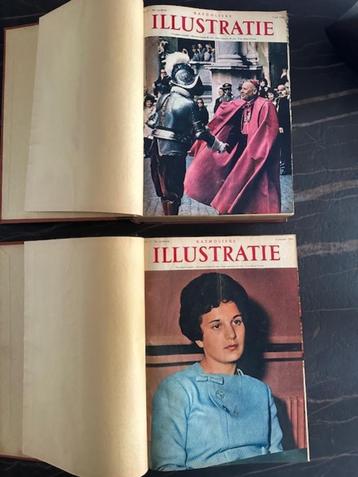 jaargang 1962 kat Illustratie  beschikbaar voor biedingen