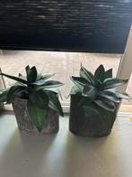 Twee vazen met planten, Huis en Inrichting, Woonaccessoires | Kunstplanten en Kunstbloemen, Ophalen, Zo goed als nieuw