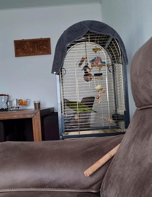 Vogelkooi papagaaienkooi, Dieren en Toebehoren, Vogels | Hokken en Kooien, Zo goed als nieuw, Vogelkooi, Metaal, Ophalen