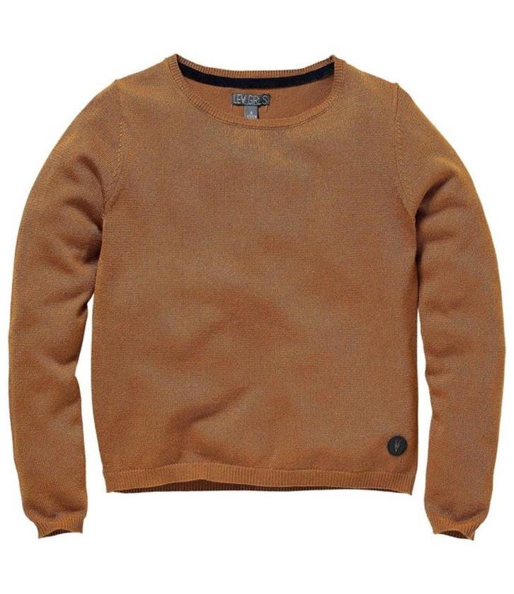 Nieuwe trui maat 146/152 Levv (nu voor €10.00), Kinderen en Baby's, Kinderkleding | Maat 146, Nieuw, Meisje, Trui of Vest, Ophalen of Verzenden