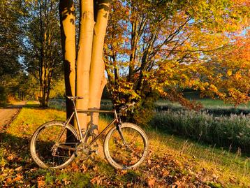 Titanium ‘van Ger’ racefiets - dura ace beschikbaar voor biedingen