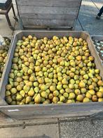 Giese wildeman stoofperen, Ophalen of Verzenden