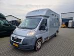 Leuke Peugeot boxer paardenauto, Dieren en Toebehoren, Paarden en Pony's | Trailers en Aanhangwagens, Ophalen, Gebruikt, Polyester