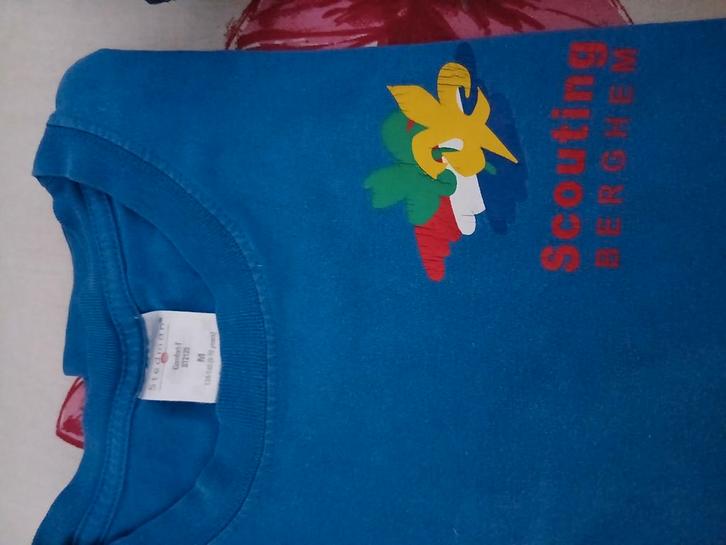 Scouting Berghem. Sweaters, t-shirt, scoutingblouse en sjaal, Kleding | Heren, Polo's, Gedragen, Overige maten, Blauw, Ophalen