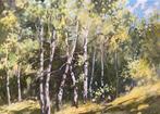 Berkenbosje, Antiek en Kunst, Kunst | Schilderijen | Modern, Ophalen
