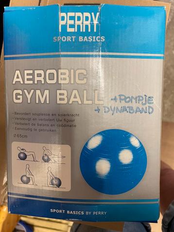 Aerobic gym ball 65cm met pomp en bodyband beschikbaar voor biedingen