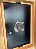 Bora Puxu2R Inductie Kookplaat - Nieuw, Witgoed en Apparatuur, Kookplaten, Ophalen, Nieuw, Inductie