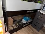 Betonplex terrarium met achtergrond, Dieren en Toebehoren, Ophalen, Zo goed als nieuw, Terrarium of Paludarium