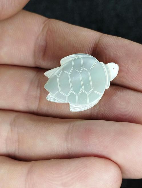 prachtige zeldzame broche gesneden uit schelp, Sieraden, Tassen en Uiterlijk, Broches, Zo goed als nieuw, Overige materialen, Ophalen of Verzenden