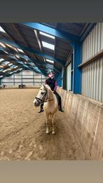 Verzorg pony/paard gezocht, Ophalen of Verzenden, Zo goed als nieuw