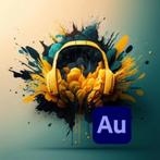 Adobe Audition Presets v3.1, Computers en Software, Audio-software, Ophalen of Verzenden, Nieuw, Windows