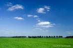 Weiland gezocht, Dieren en Toebehoren