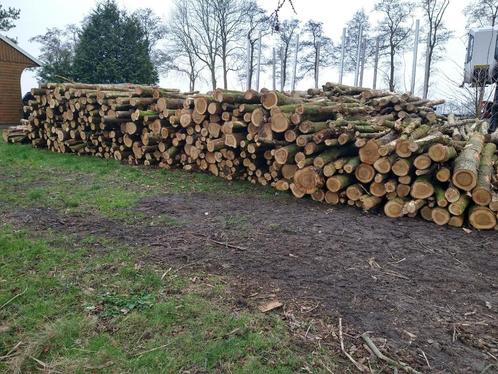 Stamhout eik, Tuin en Terras, Haardhout, Stammen, Eikenhout, 6 m³ of meer, Ophalen