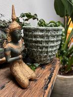 Boeddha poortwachter Thailand brons bladgoud Thaise buddha, Gebruikt, Ophalen of Verzenden, https://verburgtvintage.nl/#contact