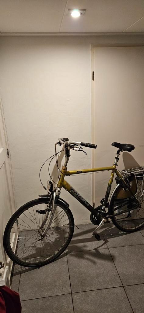 Batavus Cayuca 61cm - Opknapper, Fietsen en Brommers, Fietsen | Heren | Herenfietsen, Gebruikt, Batavus, 61 tot 65 cm, Versnellingen