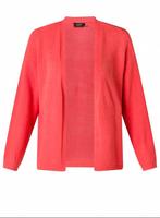 Koraal vest Velicia van Yesta Maat 54/56 (4), Kleding | Dames, Trui of Vest, Ophalen of Verzenden, Rood, Nieuw