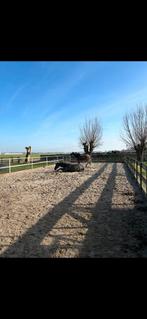 Pony stalling paddock paradise, Dieren en Toebehoren, Stalling