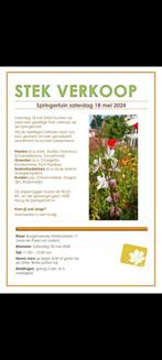 Stekverkoop zaterdag 18 mei, Zuilen Springertuin, Tuin en Terras, Planten | Tuinplanten, Ophalen of Verzenden
