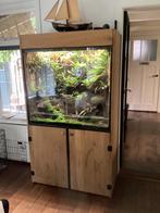 Paludarium, Dieren en Toebehoren, Reptielen en Amfibieën | Toebehoren, Ophalen, Gebruikt, Terrarium of Paludarium