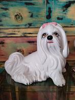 Hollywood Regency/Beeld/Malteser, Ophalen of Verzenden, Zo goed als nieuw, Dier