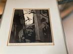 VOGELS GRAFIEK, Antiek en Kunst, Kunst | Litho's en Zeefdrukken, Ophalen of Verzenden