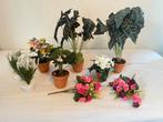 Mooie Alocasia en andere kunstplanten / nepplanten, Ophalen of Verzenden, Zo goed als nieuw, Binnen