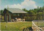 HAREN Beatrixoord Hertenkamp, Verzenden, 1960 tot 1980, Gelopen, Groningen