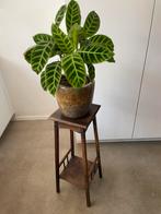 Vintage plantentafel plantenkruk piëdestal midcentury design, Huis en Inrichting, Tafels | Bijzettafels, Vintage midcentury jaren 50 hout design