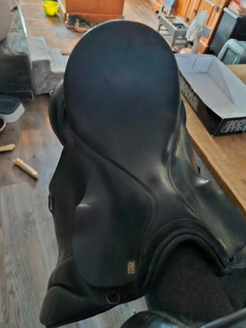 5 zadels  goed+[ 4 oude zadels)   Alles samen voor 500 euro beschikbaar voor biedingen