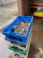 Trickle filter  met Alpha rock & crystal bio - Koivijver, Tuin en Terras, Vijvers, Ophalen, Gebruikt