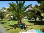 Last.Min : Torrevieja- La Mata: 10/07 - 15/08/25 - €390/week, Wasmachine, Costa Blanca, 3 personen, Appartement
