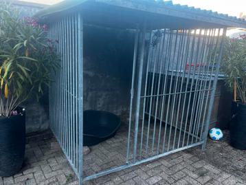 Hondenkooi beschikbaar voor biedingen