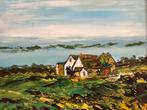 Prachtig olieverf schilderij. Vergezicht door Daan Langeweg, Antiek en Kunst, Kunst | Schilderijen | Klassiek, Ophalen of Verzenden