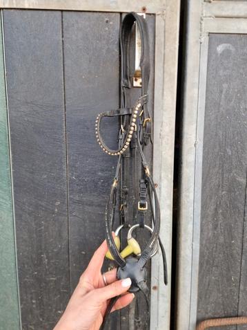 Mexicaans hoofdstel COB beschikbaar voor biedingen