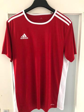 Adidas T-shirt maat L Rood kleur zo goed als nieuw beschikbaar voor biedingen