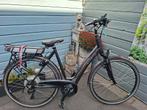 Sparta rest 55 cm frame, Sparta, Gebruikt, Ophalen of Verzenden, 51 tot 55 cm