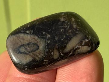 Frosterley edelsteen broekzaksteen fossiel mineralen B beschikbaar voor biedingen