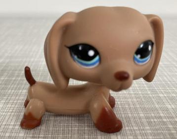 LITTLEST PET SHOP #1211 DACHSHUND – ZELDZAAM beschikbaar voor biedingen