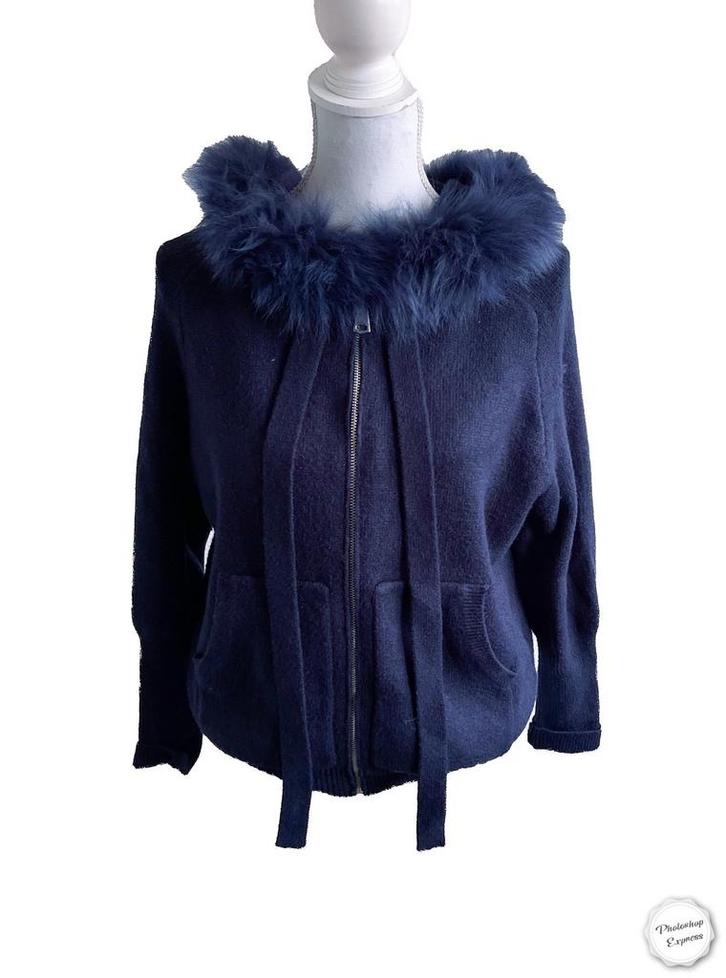 Mooi vest van Leo en Ugo 40/42, Kleding | Dames, Truien en Vesten, Gedragen, Maat 38/40 (M), Blauw, Ophalen of Verzenden