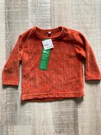 Zeeman babytrui Maat 68 Velours terra Nieuw nooit gedragen, Zeeman, Jongetje of Meisje, Nieuw, Ophalen of Verzenden