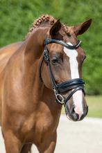Super knappe zweetvos E pony, Dieren en Toebehoren, Pony's, B, Gechipt, Dressuurpony, 3 tot 6 jaar