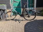 Gazelle Allure Limited Edition, 59 cm of meer, Ophalen