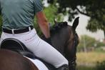 *Te koop aangeboden: knappe Spaanse merrie*, Dieren en Toebehoren, Merrie
