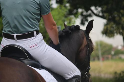 *Te koop aangeboden: knappe Spaanse merrie*, Dieren en Toebehoren, Paarden, Merrie
