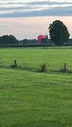 Gezocht Gras op stam huurland, Dieren en Toebehoren, Stalling en Weidegang