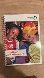 Actief leren met Kaleidoscoop, Boeken, Ophalen, M. Hohmann, Nieuw, HBO