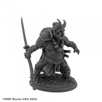 Reaper Miniatures Ogre Magi 07143 Wargames Dungeons beschikbaar voor biedingen