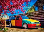 Volkswagen Polo Harlekin project, Voorwielaandrijving, Elektrische buitenspiegels, 4 cilinders, Blauw