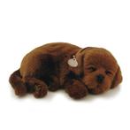 Labrador pup chocolade bruin Perfect Petzzz ademt 'echt', Ophalen of Verzenden, Nieuw, Hond